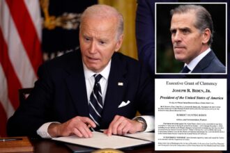 Hunter Biden weighed in on pardons dad Joe signed, ex-WH chief of staff Jeff Zients tells lawmakers: source