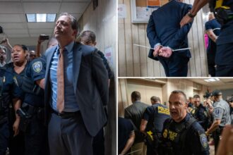 Brad Lander among elected NY officials arrested protesting at Manhattan immigration holding facility