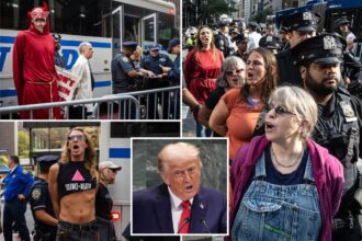 Disruptive anti-Trump protesters busted near UN chanting, ‘No fascist USA!’