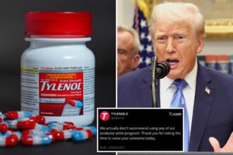 White House reposts Tylenol’s own old tweet warning against pregnancy use