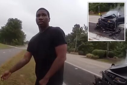 ‘Bored’ Illinois motorist purposely rams car into police cruiser during traffic stop: ‘I hate cops’