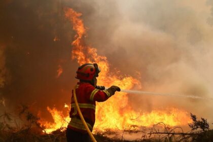 Do immigrants receive more than firefighters in Portugal?