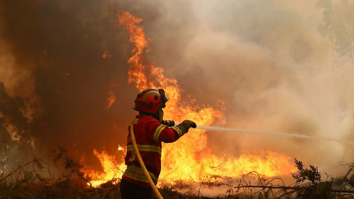 Do immigrants receive more than firefighters in Portugal?