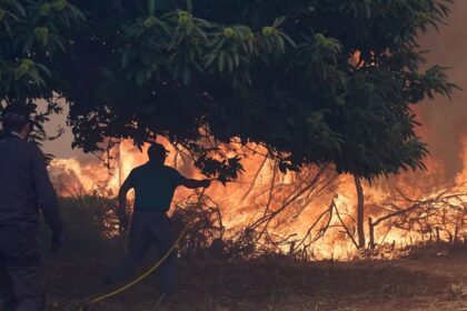 Unions warn of ‘low’ firefighter numbers as EU faces record wildfires