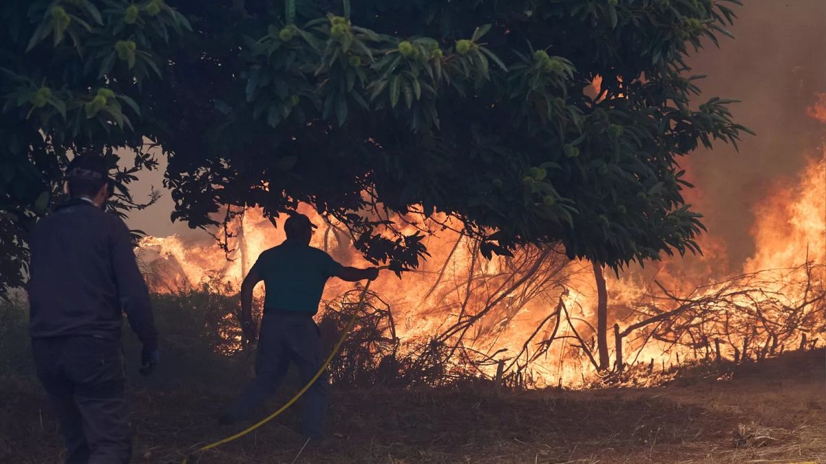 Unions warn of ‘low’ firefighter numbers as EU faces record wildfires