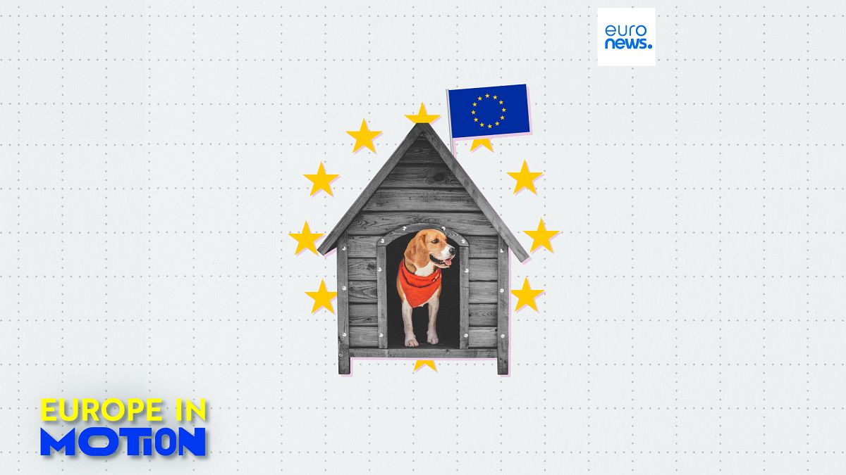 Where in the EU are pet dogs most popular?