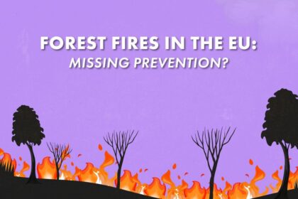 Is the EU failing to prevent forest fires?