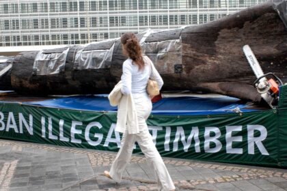 Commission claims IT glitch forced second delay to EU deforestation rules 