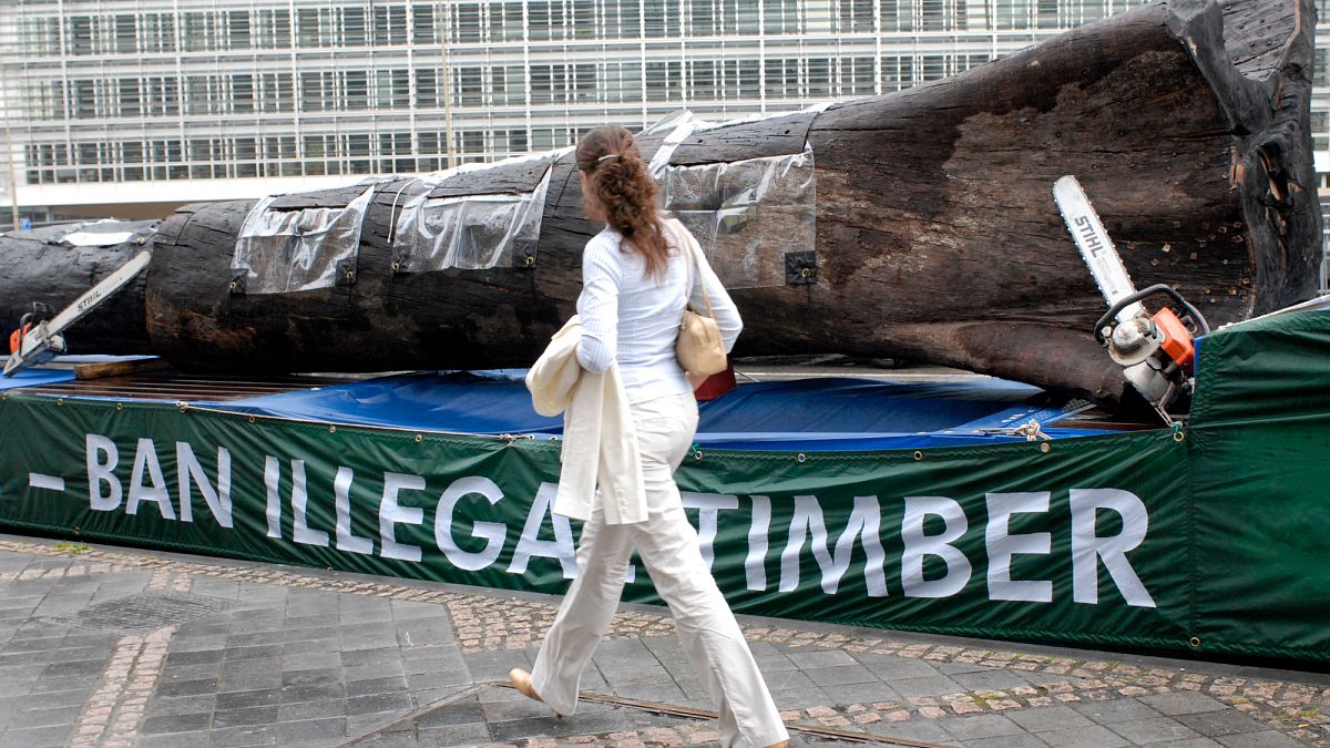 Commission claims IT glitch forced second delay to EU deforestation rules 