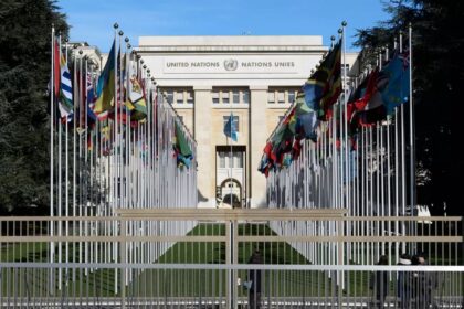 Scandinavians trust global organisations more than rest of Europe