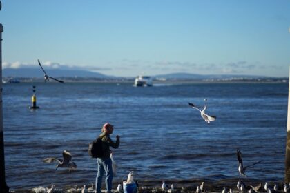 More than half of EU’s waters in poor ecological state – EEA report