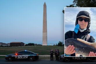 Two teens arrested in murder of Capitol Hill intern, third sought: DOJ, DC police