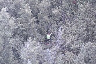 YouTube survival show contestant rescued in densely wooded Michigan area