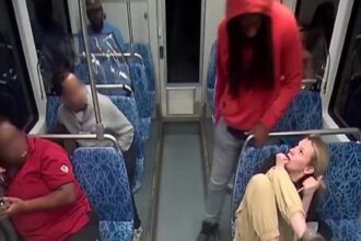 Train stabbing suspect makes claims about deadly attack in jailhouse call
