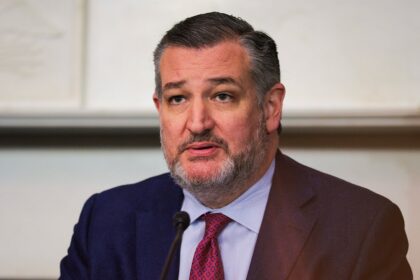 Cruz slams UN’s Israel ‘genocide’ charge, pushes for consequences
