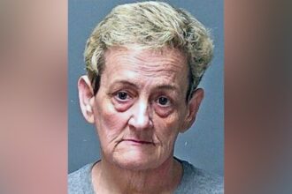 New Hampshire daycare worker who secretly gave kids melatonin spared jail