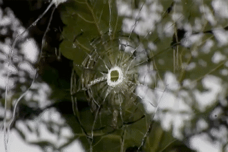 California man released from custody after arrest in ABC news station shooting