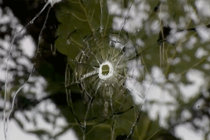California man released from custody after arrest in ABC news station shooting