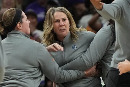 Lynx coach Cheryl Reeve suspended, fined after referee clash, critical postgame comments