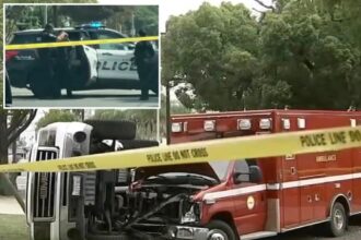 Half-nude ‘screaming’ California man arrested after hijacking ambulance from paramedics responding to fatal stabbing