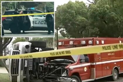Half-nude ‘screaming’ California man arrested after hijacking ambulance from paramedics responding to fatal stabbing
