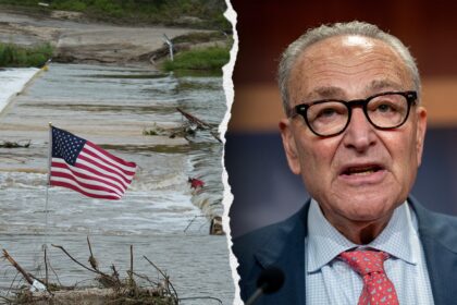 EXCLUSIVE: Democrats risk flood insurance lapse in their shutdown fight, home builders and White House warn