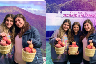 Gemini’s ‘Nano Bananas’ AI Image Editing Is Fun, but I Ran Into Too Many Slipups