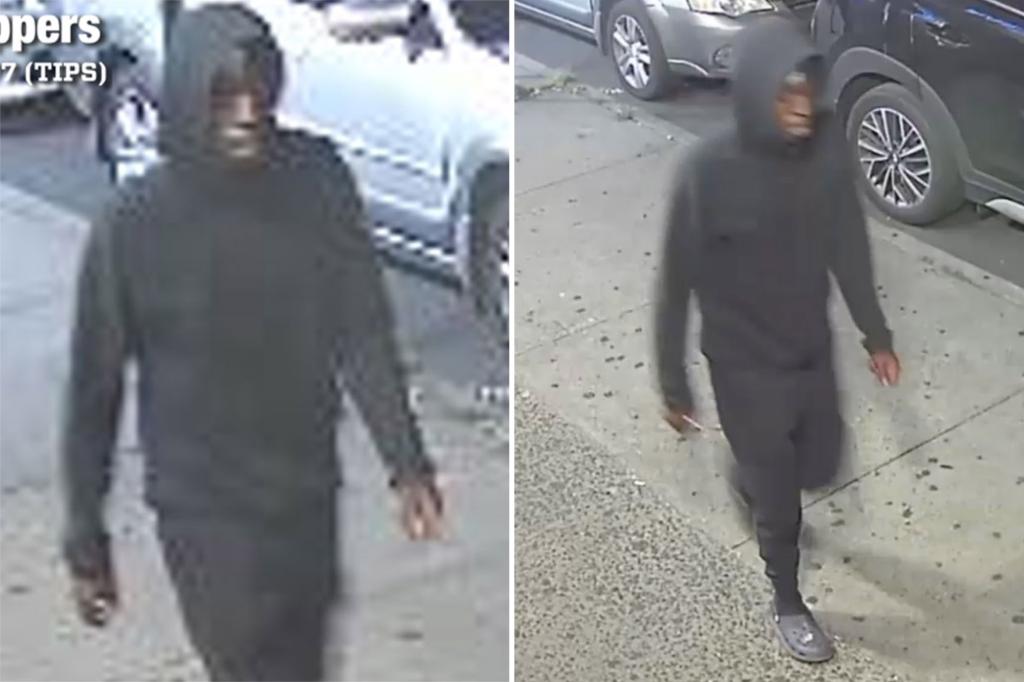 Sicko rapes teen sitting on NYC park bench – in second random sex attack in two days: cops