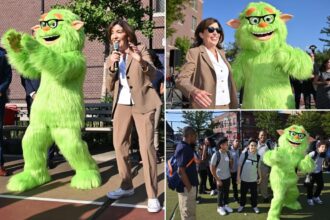 Kathy Hochul hides cost of cell phone ban mascot ‘Frankie Focus’ — who gets called ‘tone deaf’