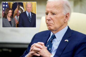 Democratic donors reluctant to give to Biden’s presidential library: report