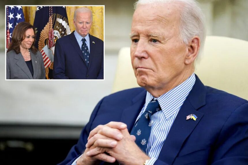 Democratic donors reluctant to give to Biden’s presidential library: report