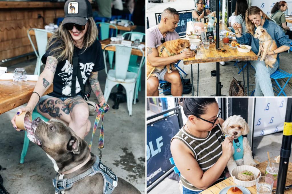 Exclusive | NYC restaurant is going to the dogs with new man’s best friend-only menu boasting ‘human-grade’ ingredients