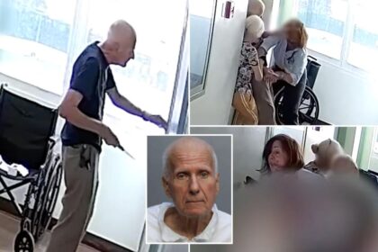 Disturbing video shows Florida senior citizen, 83, stabbing property manager during bloody argument