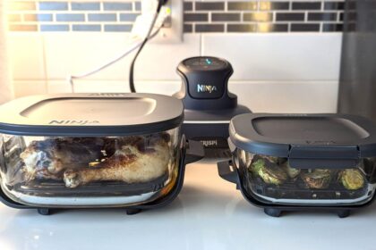 My New Favorite Air Fryer Is Completely Nontoxic and Easy to Clean