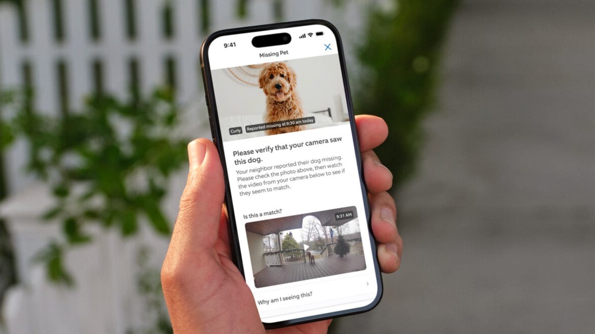 New Ring Cameras Can Detect Solicitors and Find Your Missing Dog, Amazon Says
