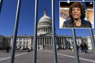 Rep. Maxine Waters admits Dems forced government shutdown to get ‘health care for everybody’ — including illegal immigrants