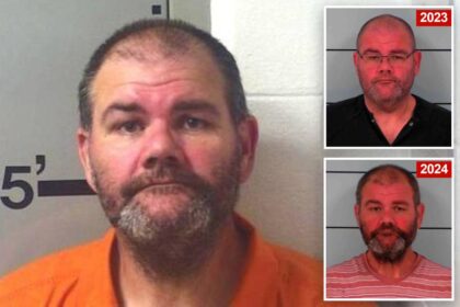 Sheriff charged with drunkenly driving 110 mph with lights and  sirens blaring — his third DUI