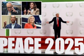 Top Dems largely quiet as Trump headlines historic peace summit in Egypt, Israeli hostages set free
