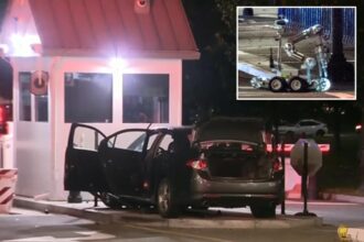Man arrested after driving his car into security gate outside White House: authorities