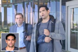 Mark Sanchez ‘still recovering’ from stabbing, lawyer reveals — as he is excused from appearing in Indianapolis court