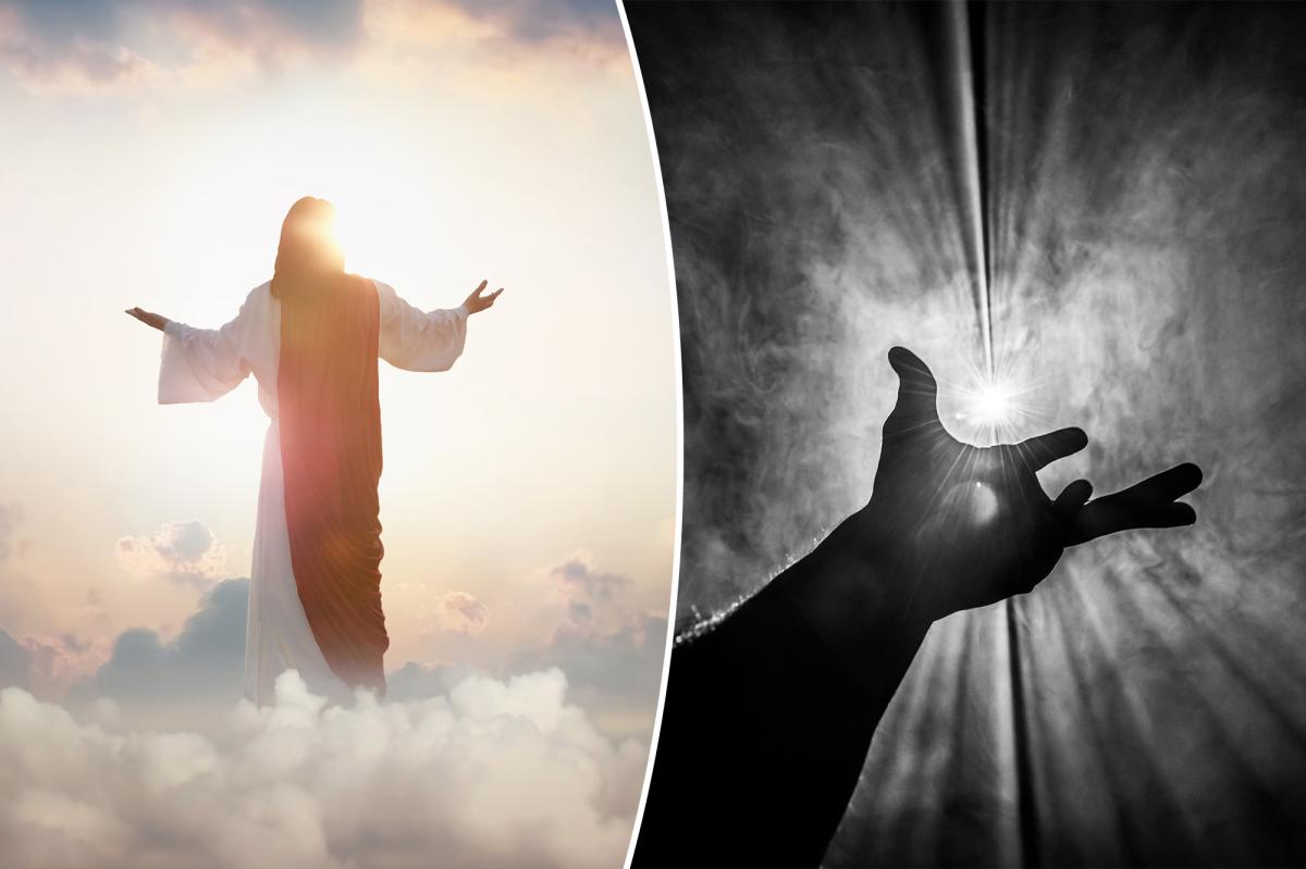 Near-death experience study reveals the most common visions among survivors: ‘A great light in the distance’ Near-death experience study reveals the most common visions among survivors: ‘A great light in the distance’