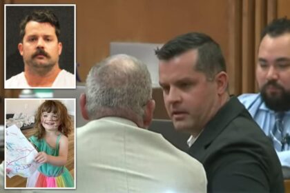 Arizona dad who left toddler in hot car to die as he watched porn, played video games pleads guilty
