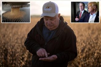 Treasury Secretary Bessent says he felt ‘pain’ from China tariffs because he is ‘actually a soybean farmer’
