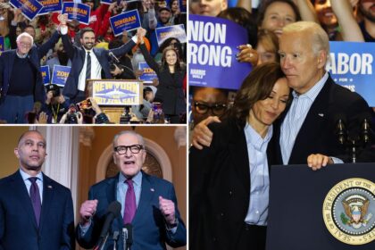 70% of voters think the Democratic Party is ‘out of touch’: poll 