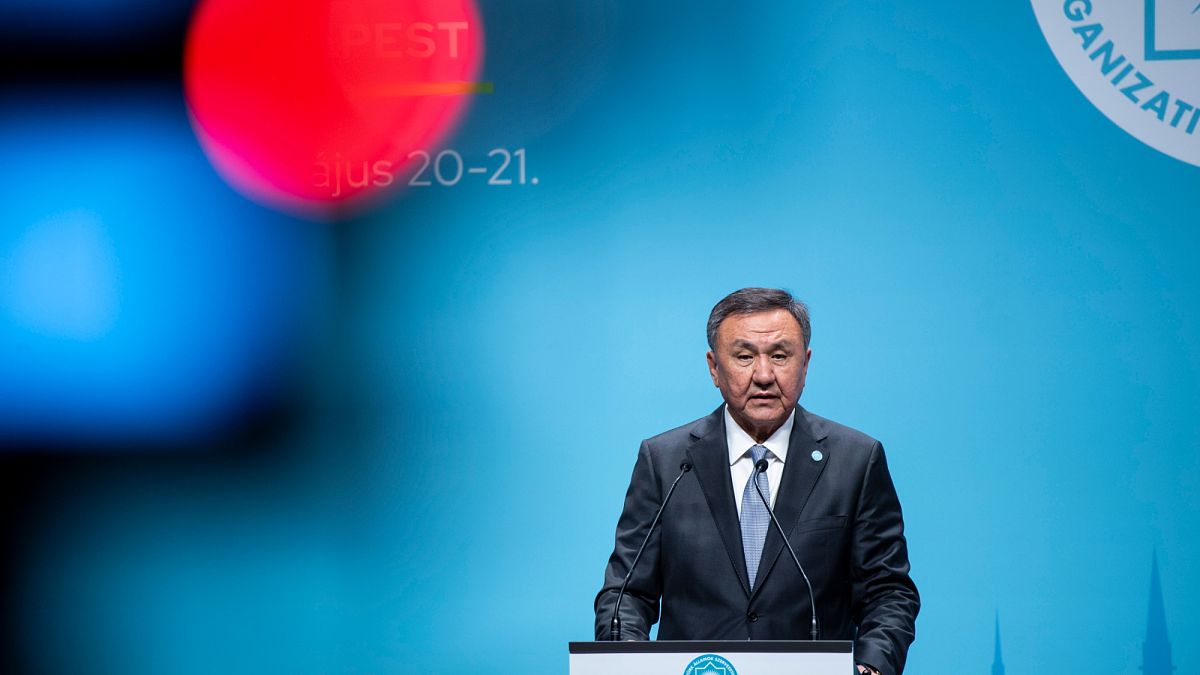 Turkic states pursue growing economic and trade ties with EU