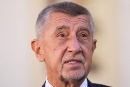 Czech elections: Babiš will pave his own way in the EU, observers say
