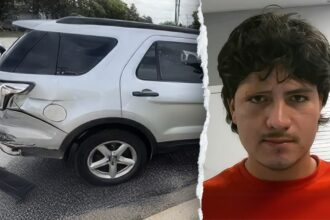 ICE officers in Illinois targeted by illegal immigrants who used ‘vehicles as weapons,’ officials say