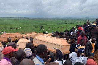 African Union chief denies genocide claims against Christians as Cruz warns Nigerian officials