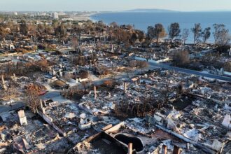 Arrest made in connection to deadly Pacific Palisades Fire, sources say