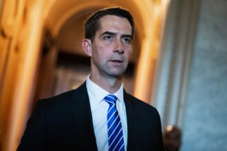 Intelligence officials voice alarm over US researchers’ collaboration with China